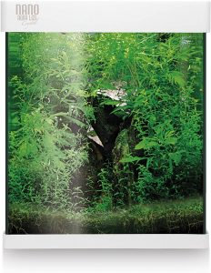 gambario completo ica