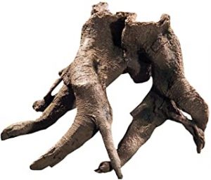 Raíz natural para gambario