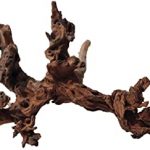 Tronco de madera Amtra para gambario