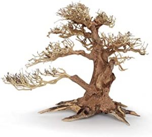 Raíz decorativa para gambario