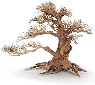 Raíz decorativa para gambario