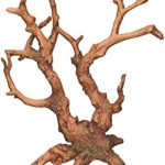 raíces para decorar gambario
