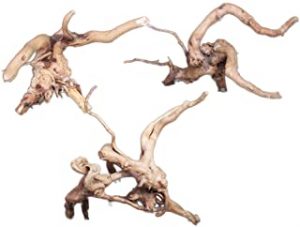 Tronco de madera natural decoración gambario