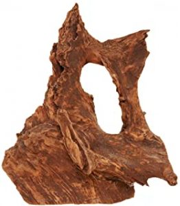 decoración para gambario raíz