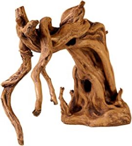 Raíz retorcida para gambario